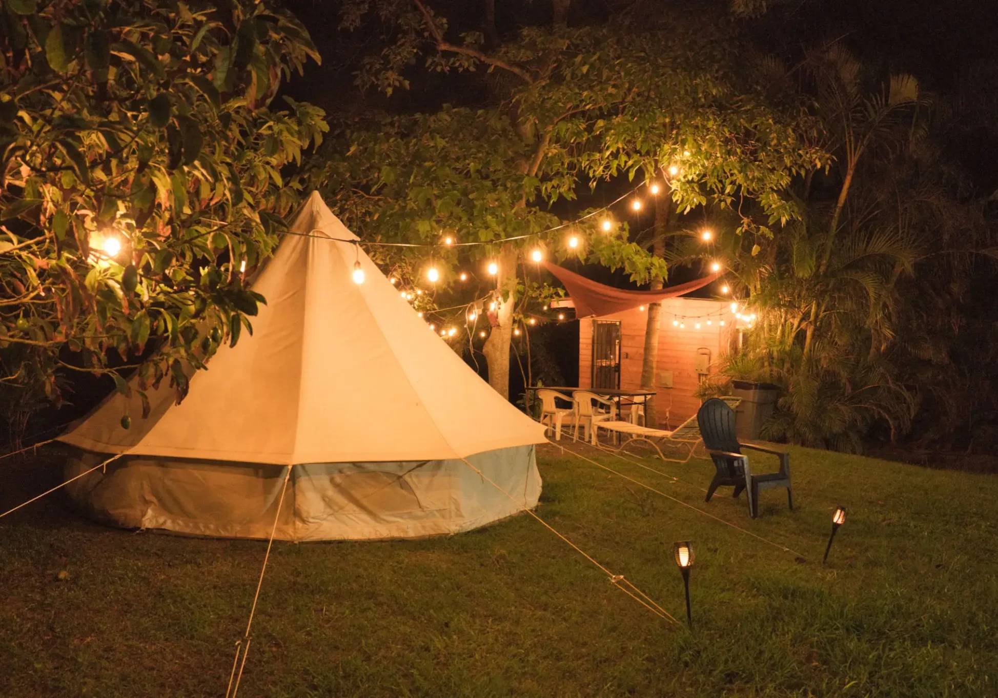 99b20026-37a9-4c97-a59a-df45ffeb4683